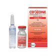 Cefxone IV Injection 1g (Bosch Pharmaceuticals) Online