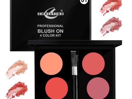 CHRISTINE BLUSH ON 4 COLOR KIT-01 Online now