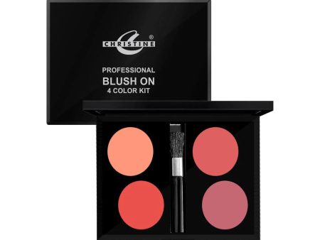 CHRISTINE BLUSH ON 4 COLOR KIT-02 Fashion