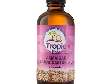 Tropical Essence Jamaican Black Castor Oil Lavender 4 oz Online Sale