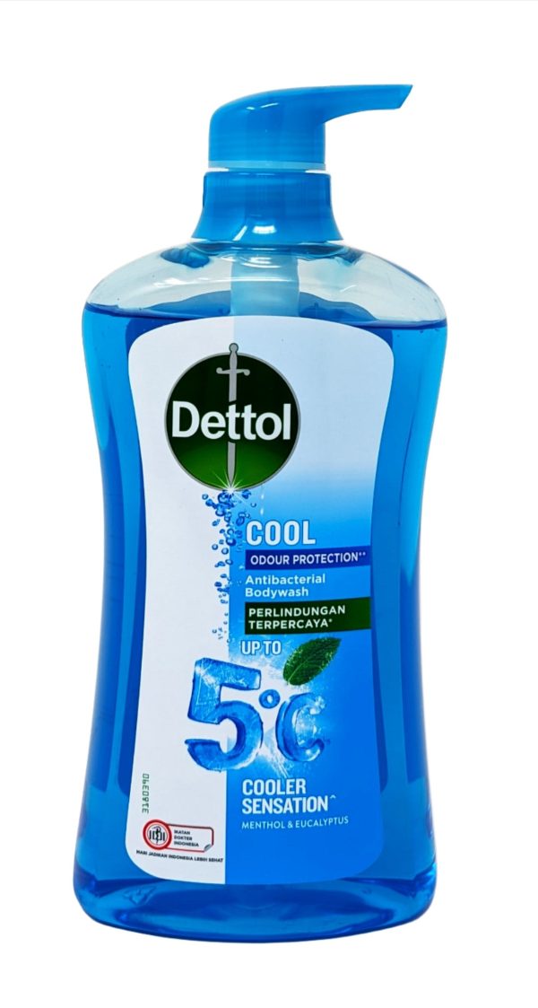 Dettol Antibacterial Bodywash Cool Odour Protection 625 g Online