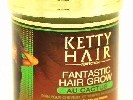 Ketty Hair Perfection Fantastic Hair Treatment with Cactus 6.78 oz. on Sale