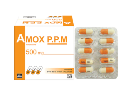 AMOX P.P.M 500MG CAP (BOX 10x10)(PPM) For Discount