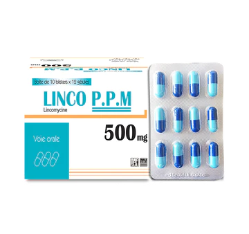 LINCOMYCINE 500MG CAP (BOX 10×12) LOCAL(PPM) For Discount