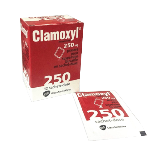 Clamoxyl 250mg 12 Sachets Hot on Sale